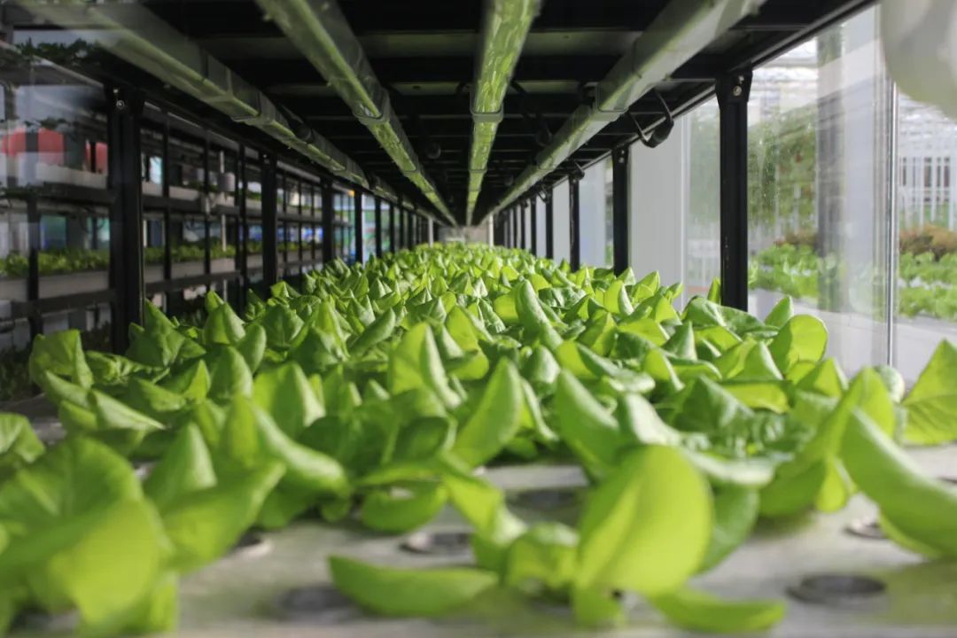 20230316035618811.jpg /admin/ueditor/20230316035618811.jpg