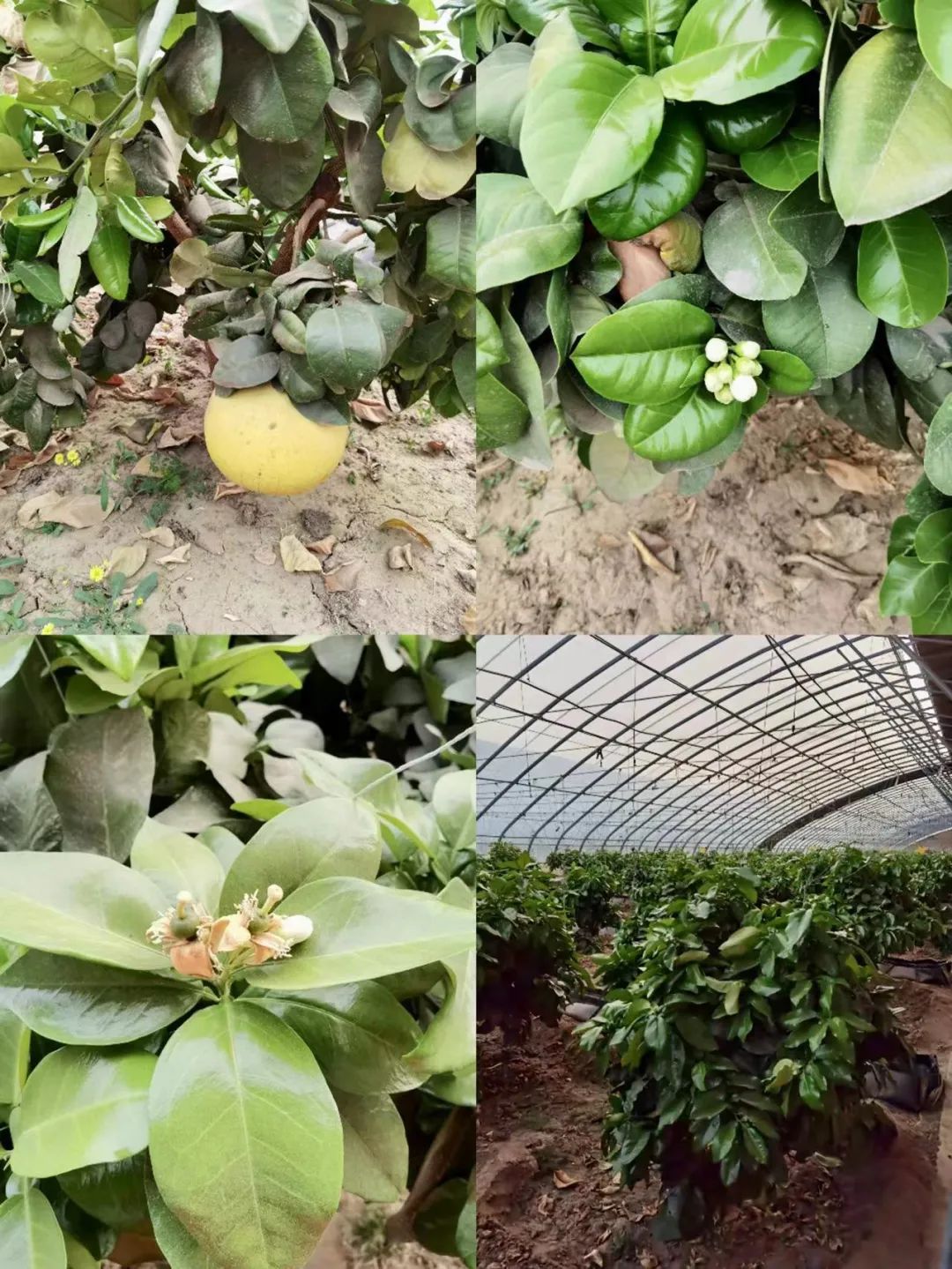 20230316035628448.jpg /admin/ueditor/20230316035628448.jpg